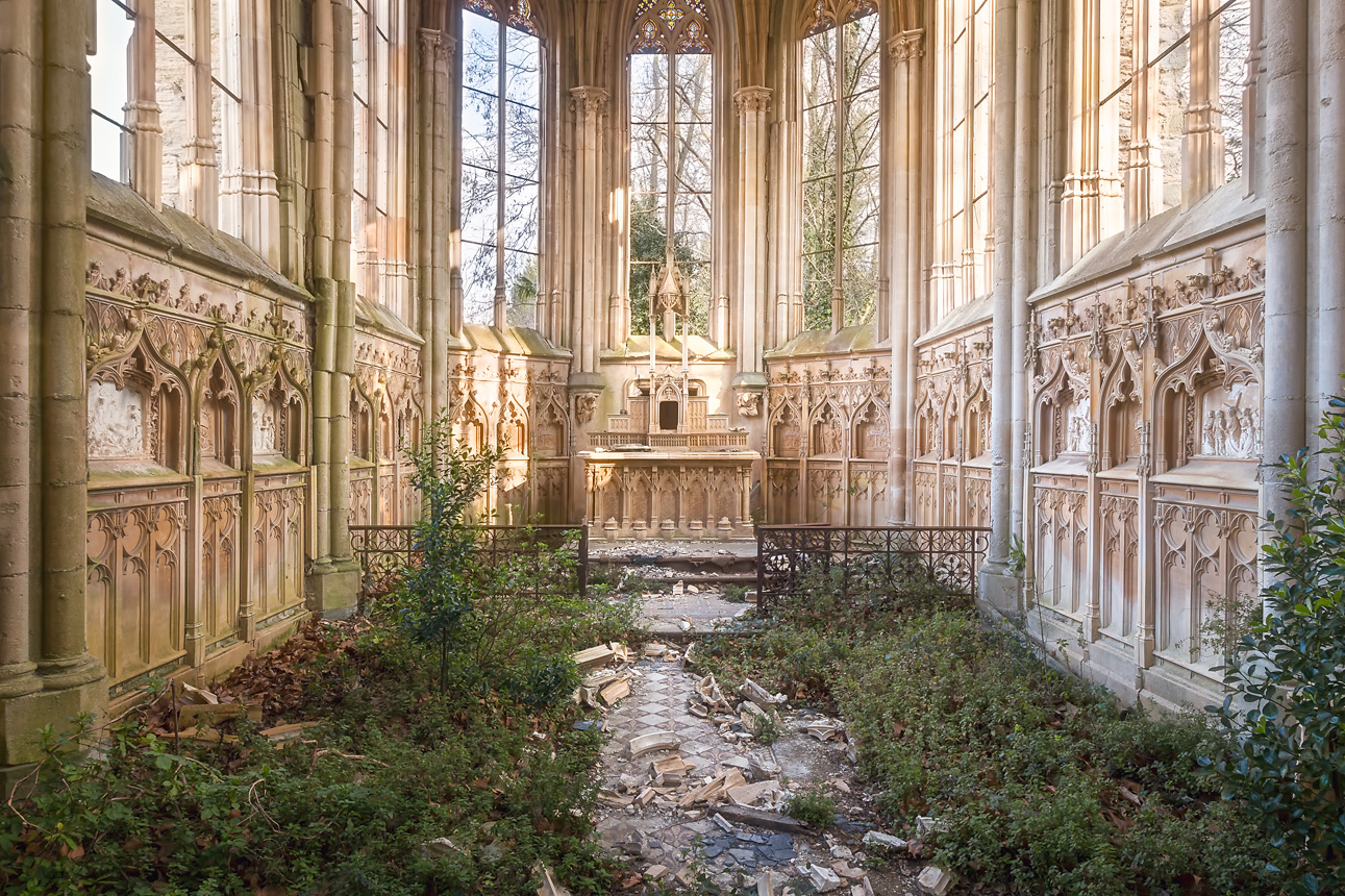 Gothic church interior overtaken by vegetation