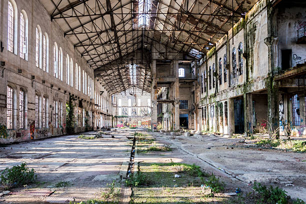 Abandoned industrial warehouse with nature reclaiming the space